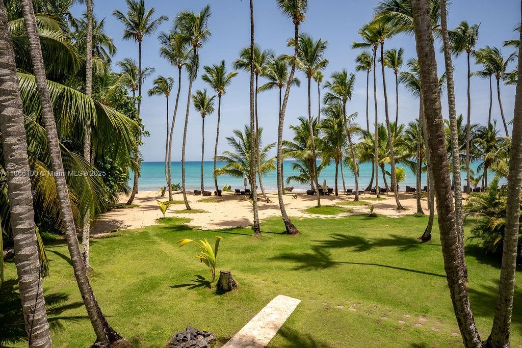 000 8c3f+q62, Las Terrenas 32000, Dominican Republic #2 