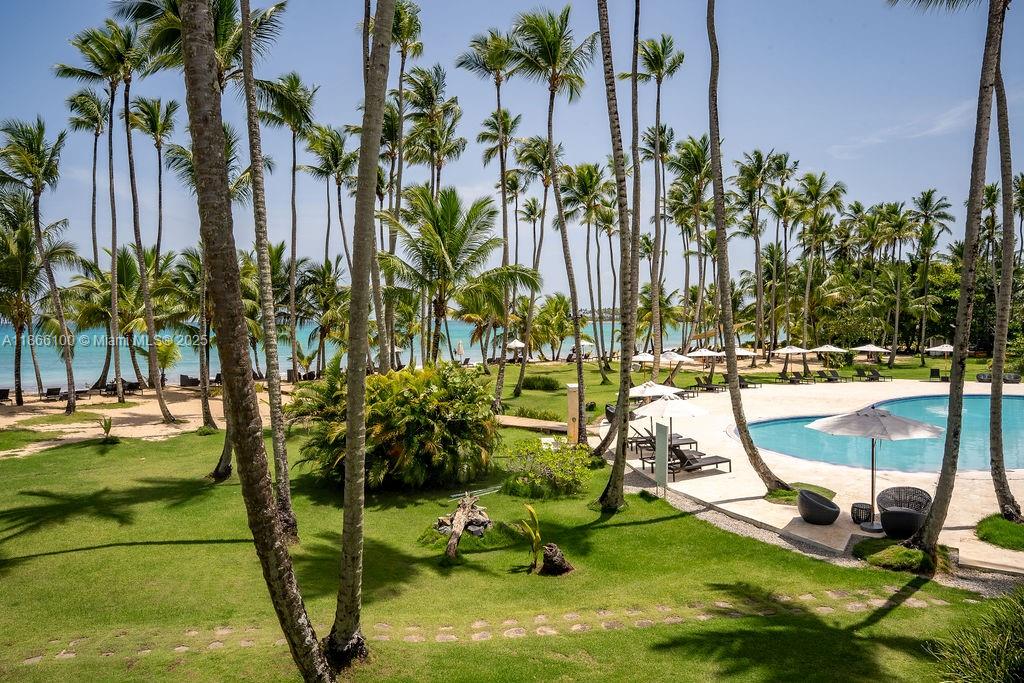 000 8c3f+q62, Las Terrenas 32000, Dominican Republic #2 