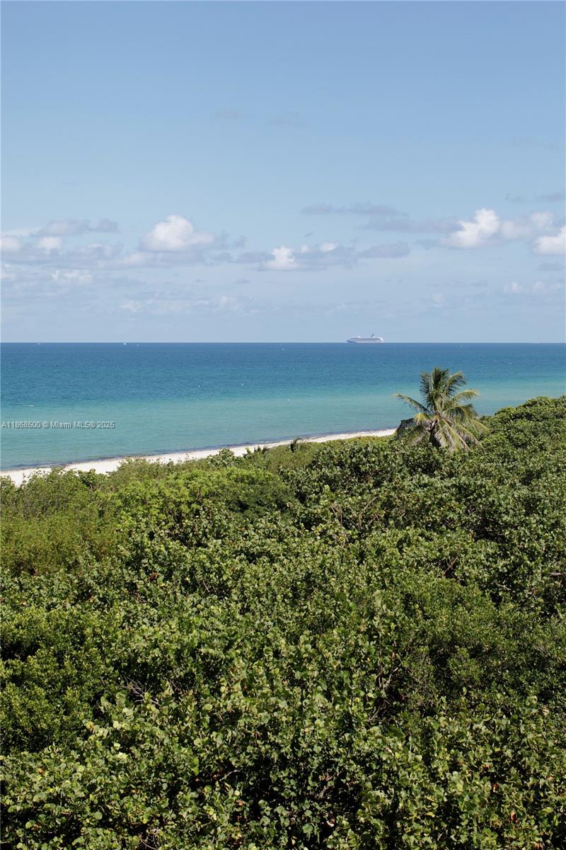image Eighty Seven Park32