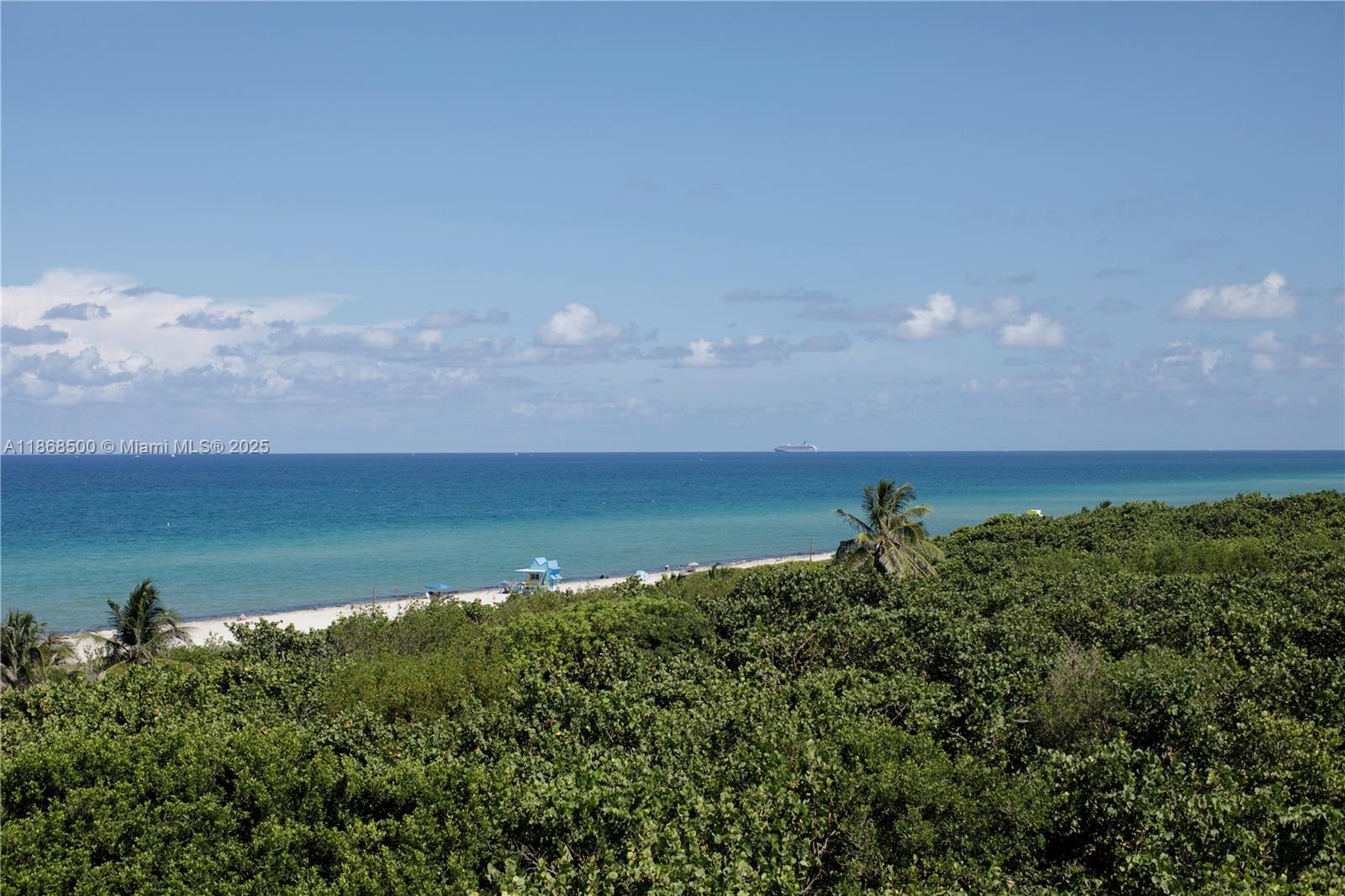 image Eighty Seven Park33