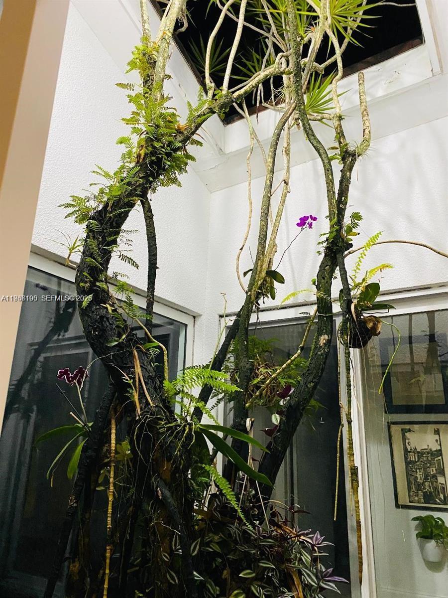 1460 Tagus Ave Coral Gables, FL 33156