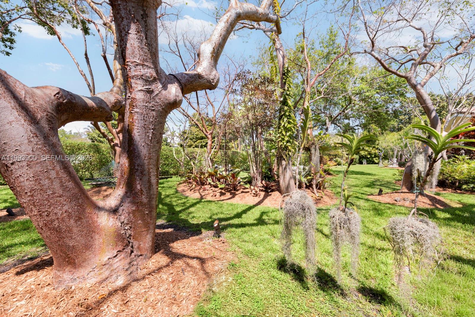 7751 Palmetto Ct Pinecrest, FL 33156