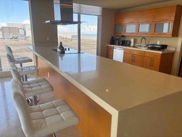 100 Lincoln Rd #PH4 Miami Beach, FL 33139