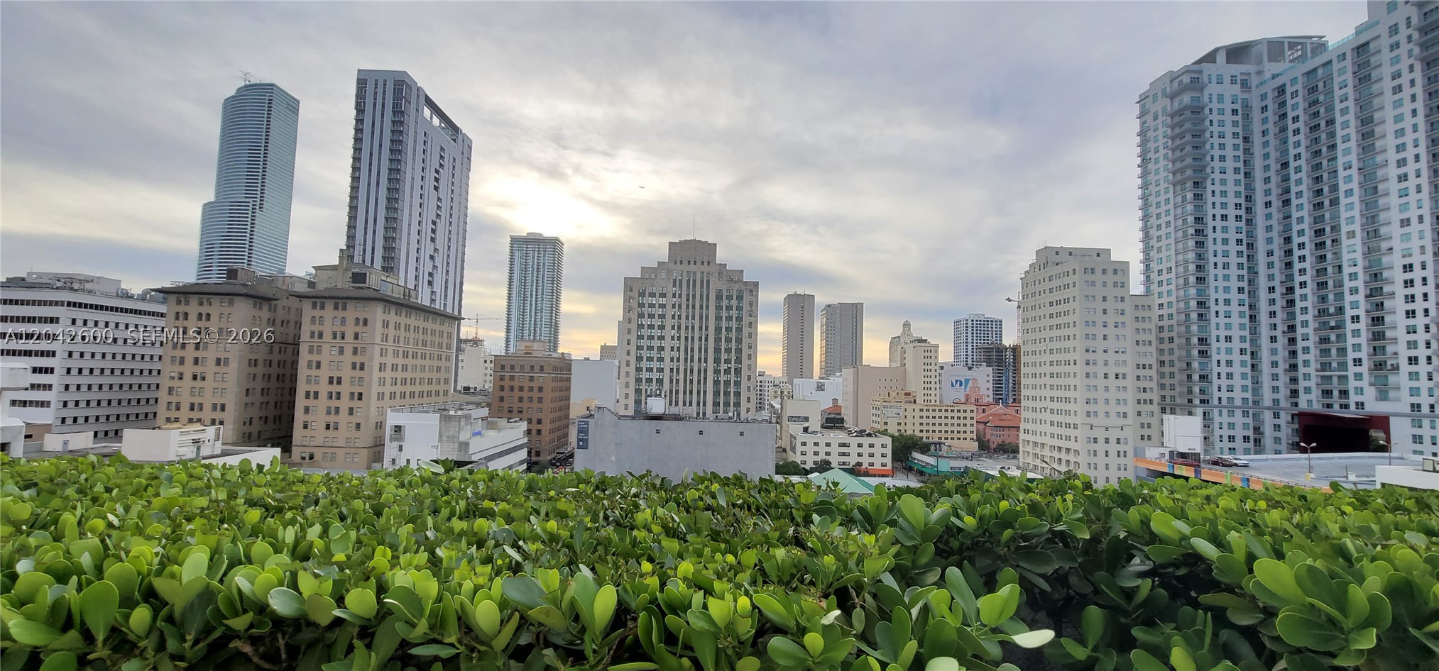 image 50 Biscayne42