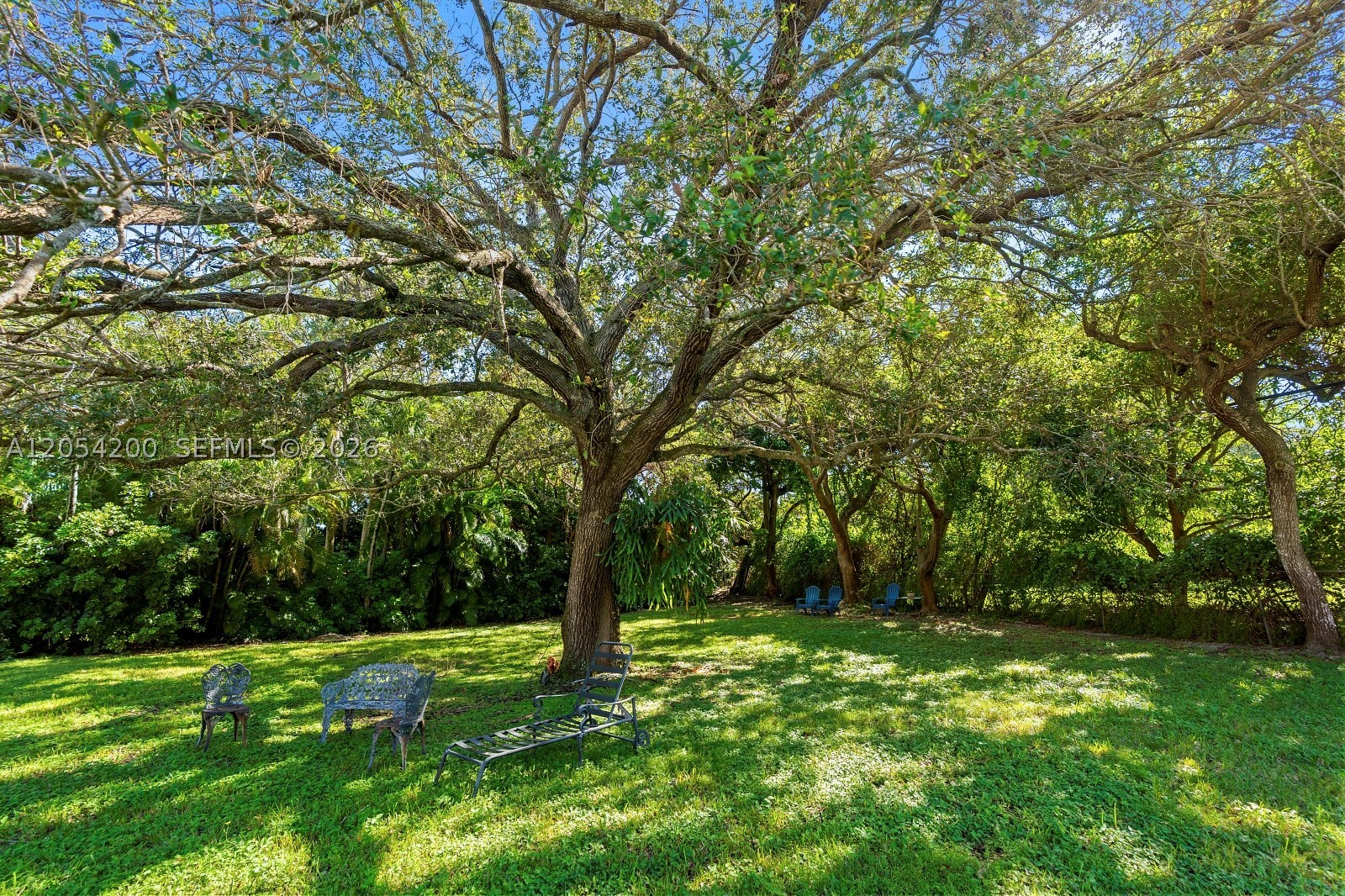 6500 SW 127th St Pinecrest, FL 33156