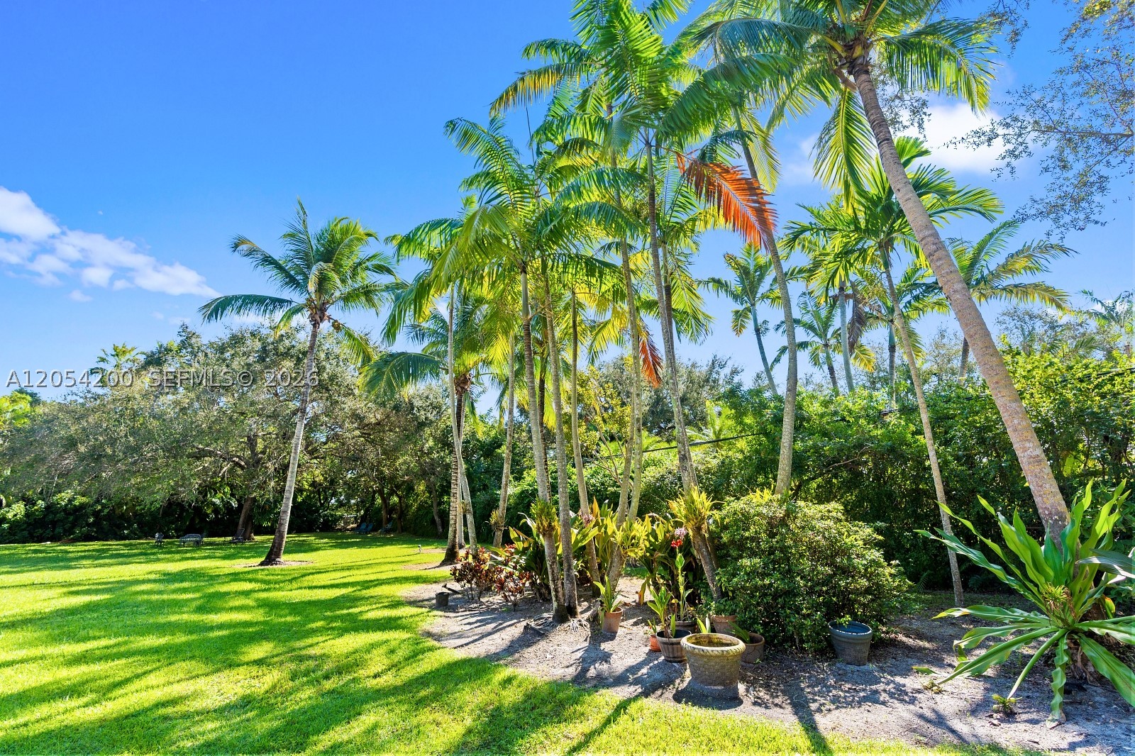 6500 SW 127th St Pinecrest, FL 33156