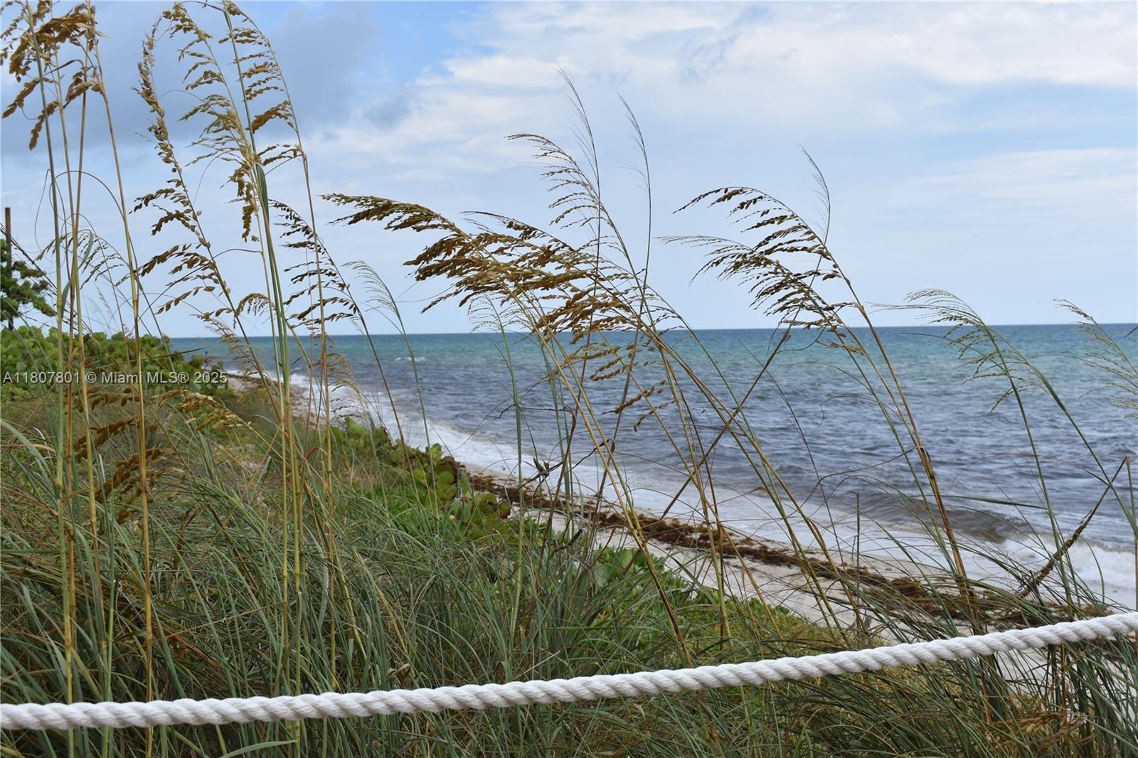 image 36