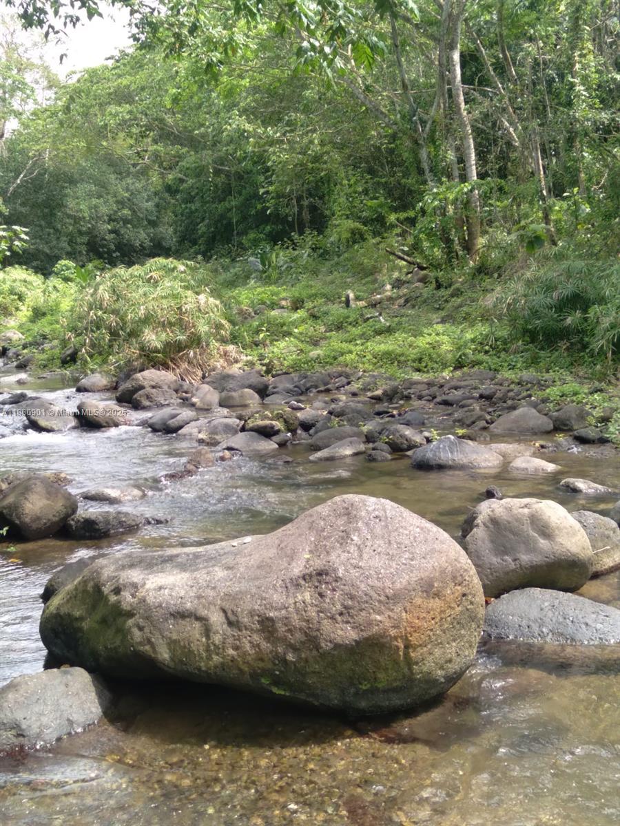 00 St Mary, Jamaica