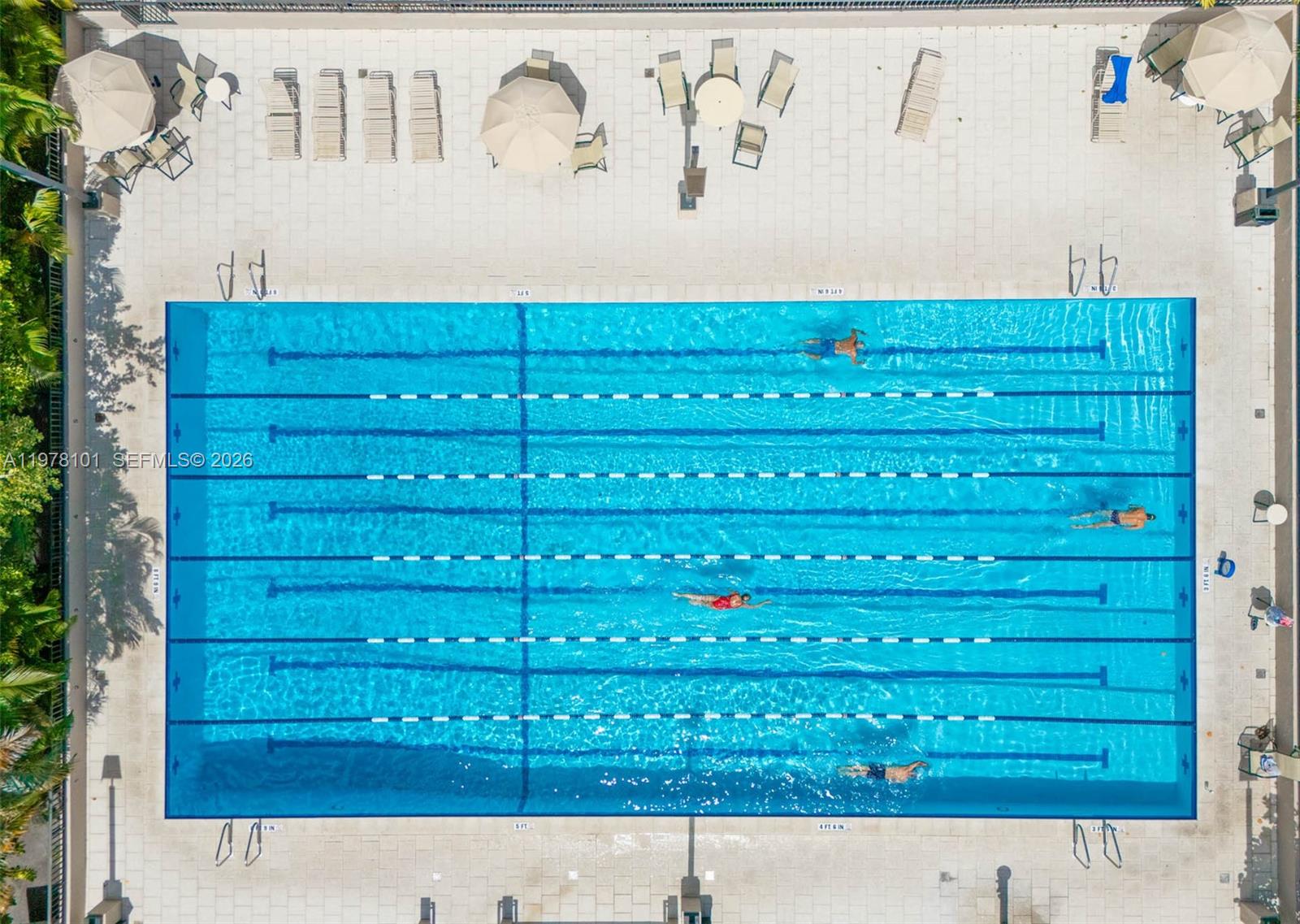 image Botanica at Key Colony45