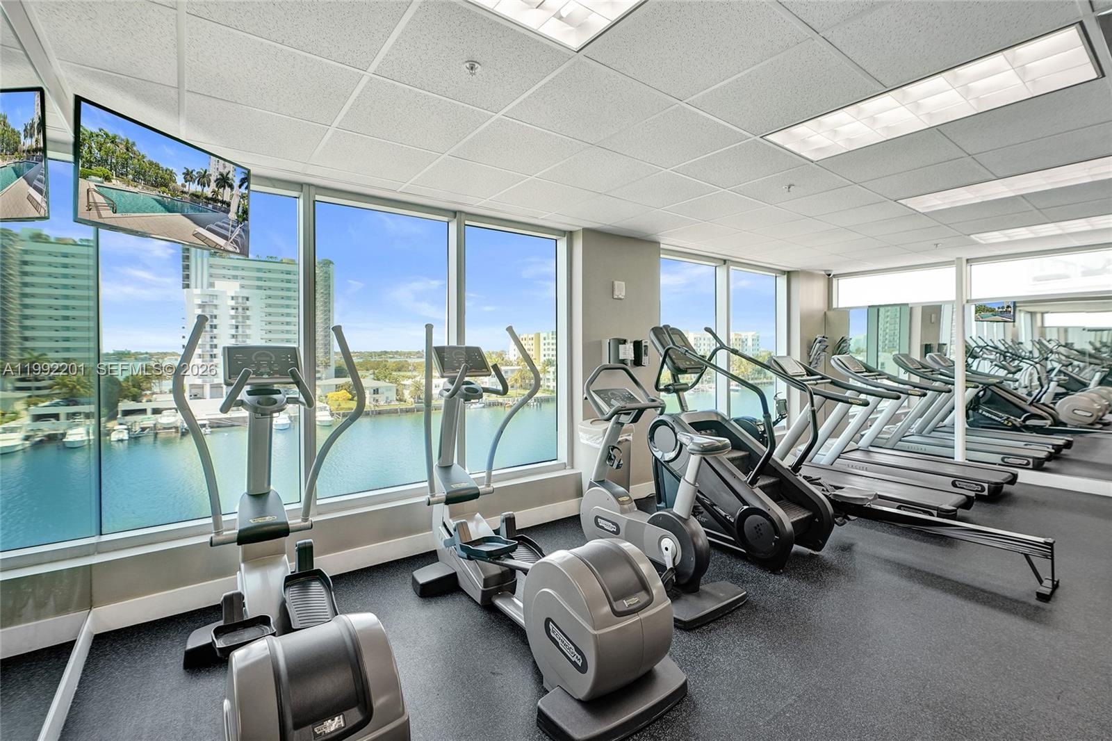 image Eloquence on the Bay31