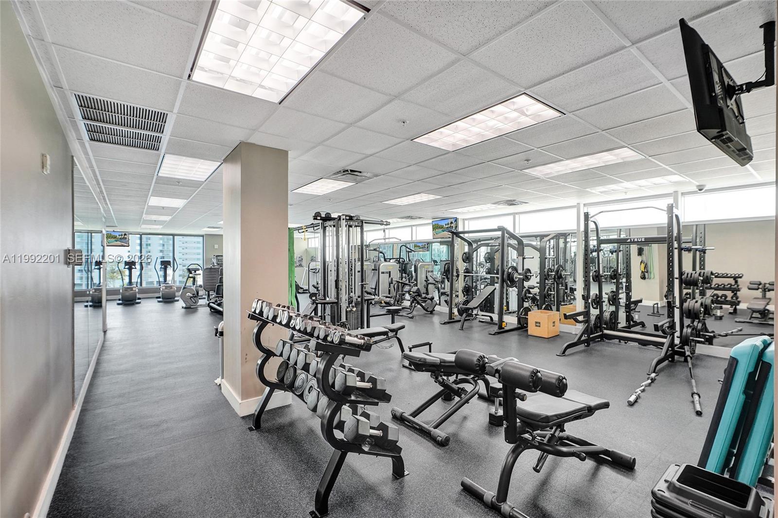 image Eloquence on the Bay33