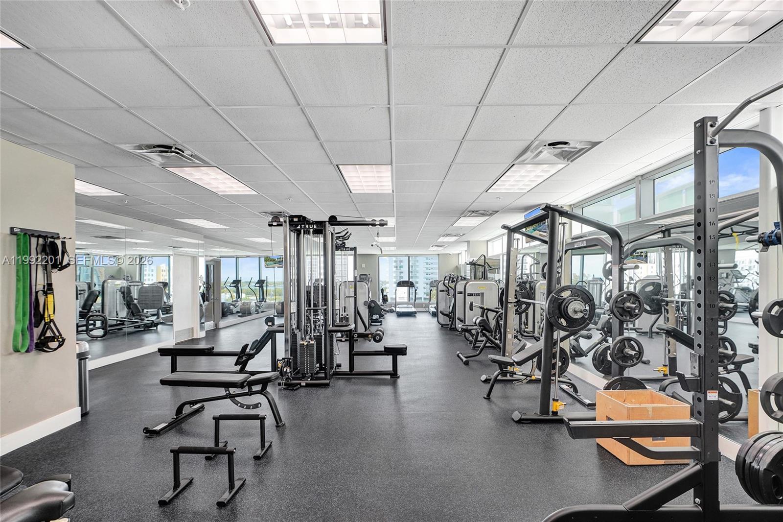 image Eloquence on the Bay34