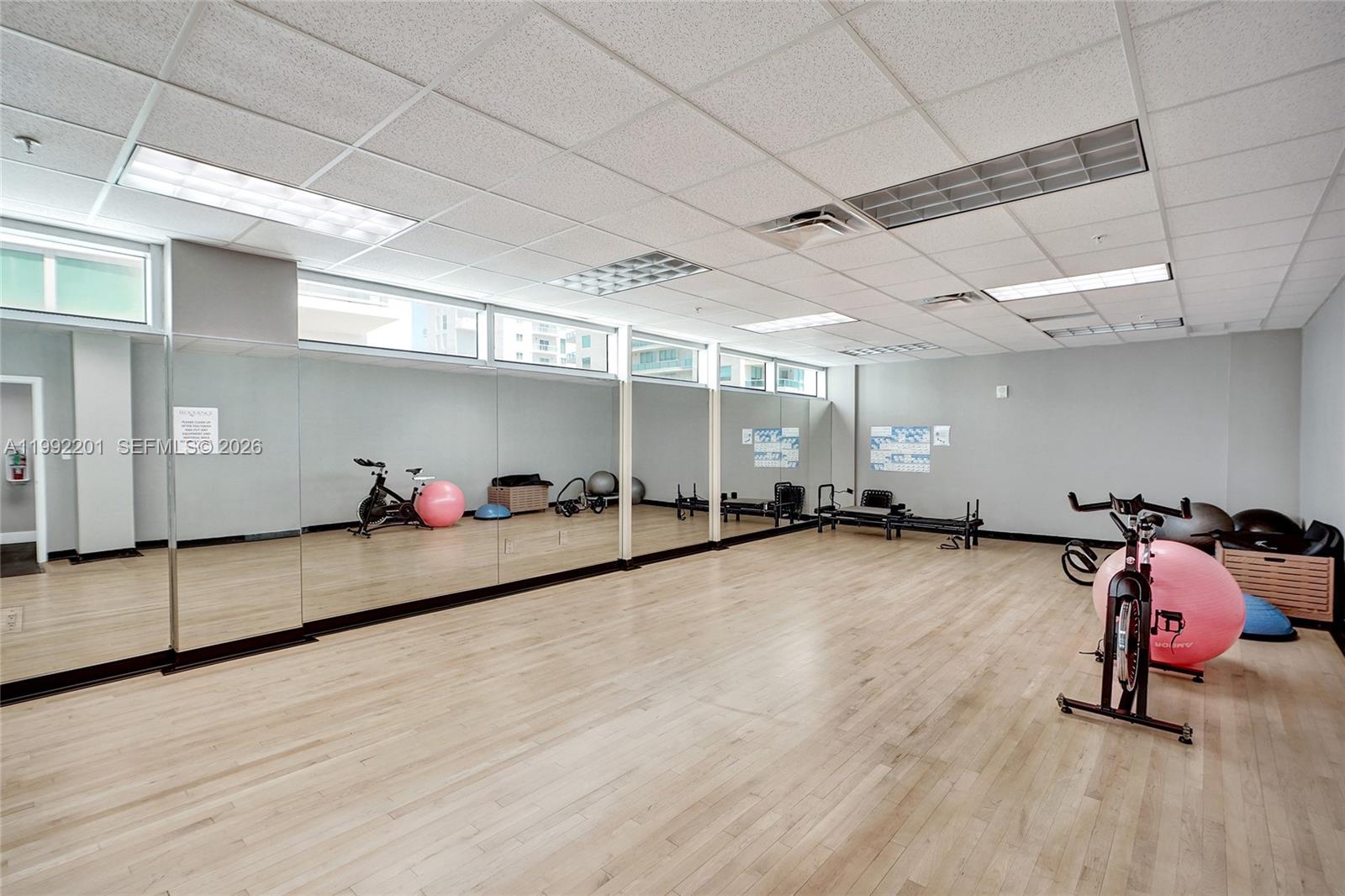 image Eloquence on the Bay35