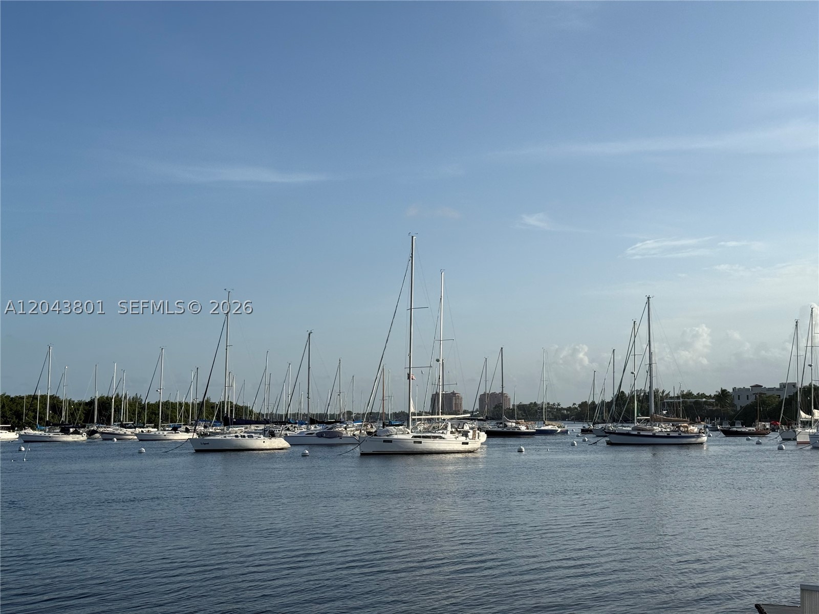 image Ritz-Carlton Coconut Grove27