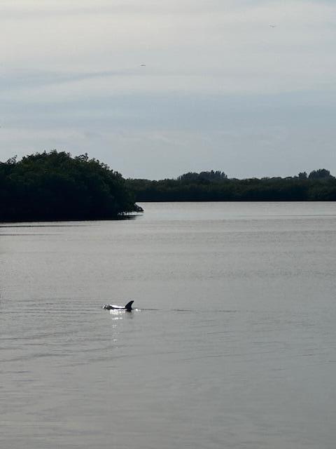 Lot 12 Riverview Ct Vero Beach, FL 32963