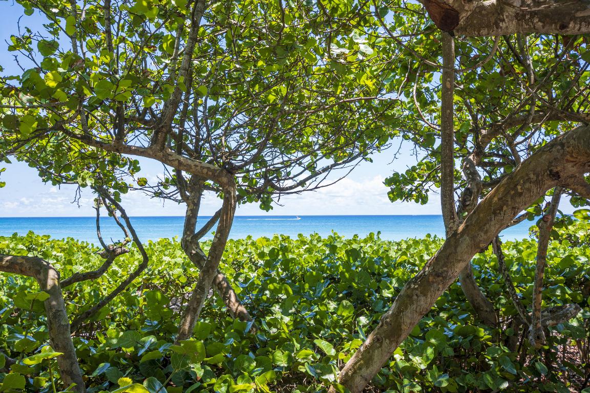 906 Dolphin Jupiter, FL 33458