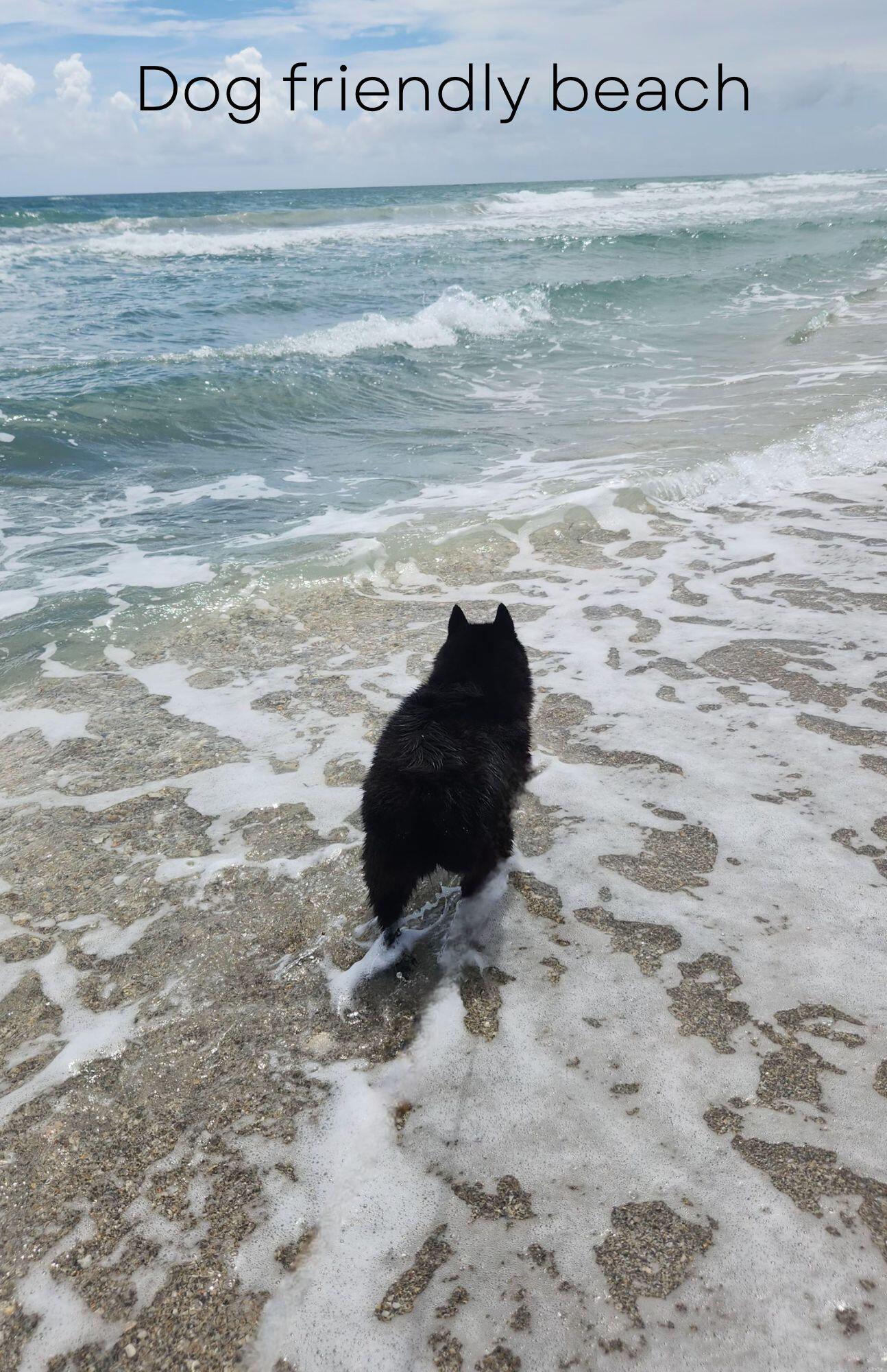 115 Olympus Jupiter, FL 33477