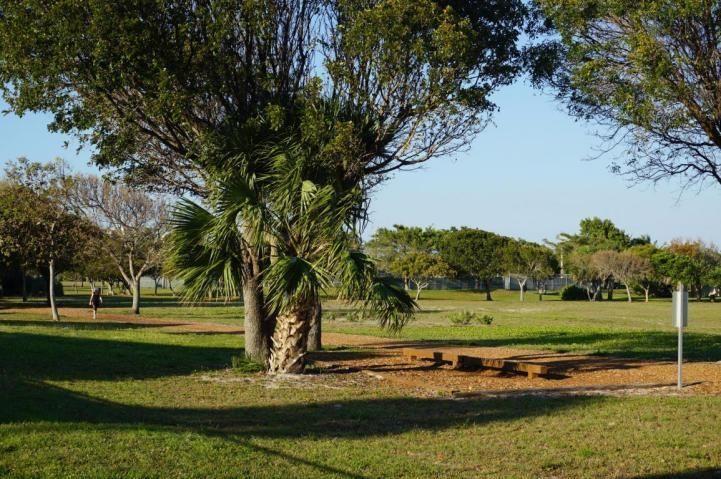 115 Olympus Jupiter, FL 33477