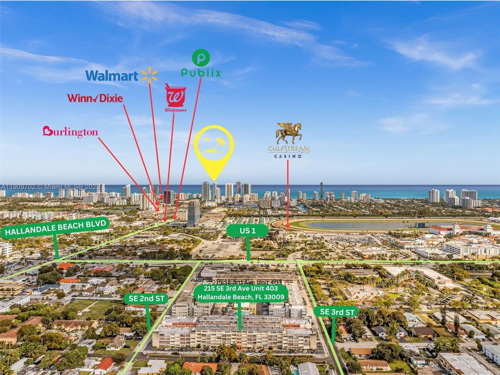 215 SE 3rd Ave #403C Hallandale Beach, FL 33009