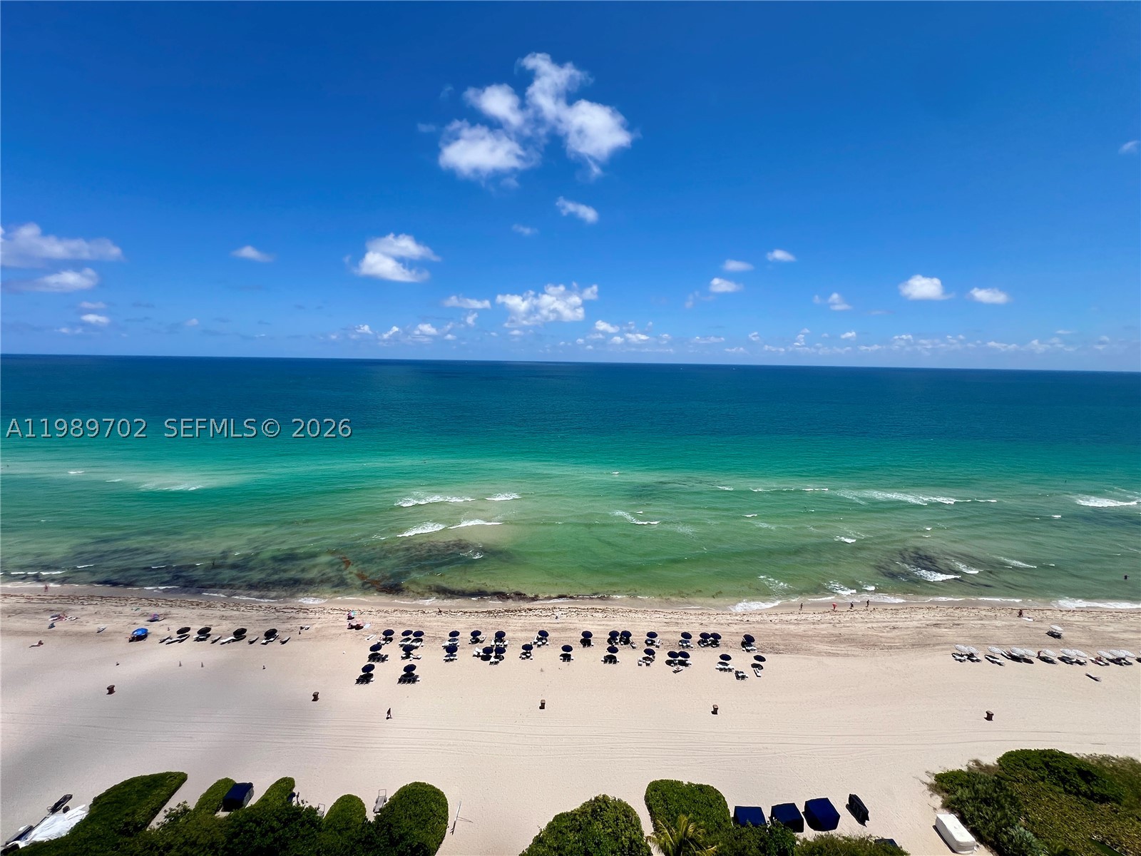 image Jade Ocean24