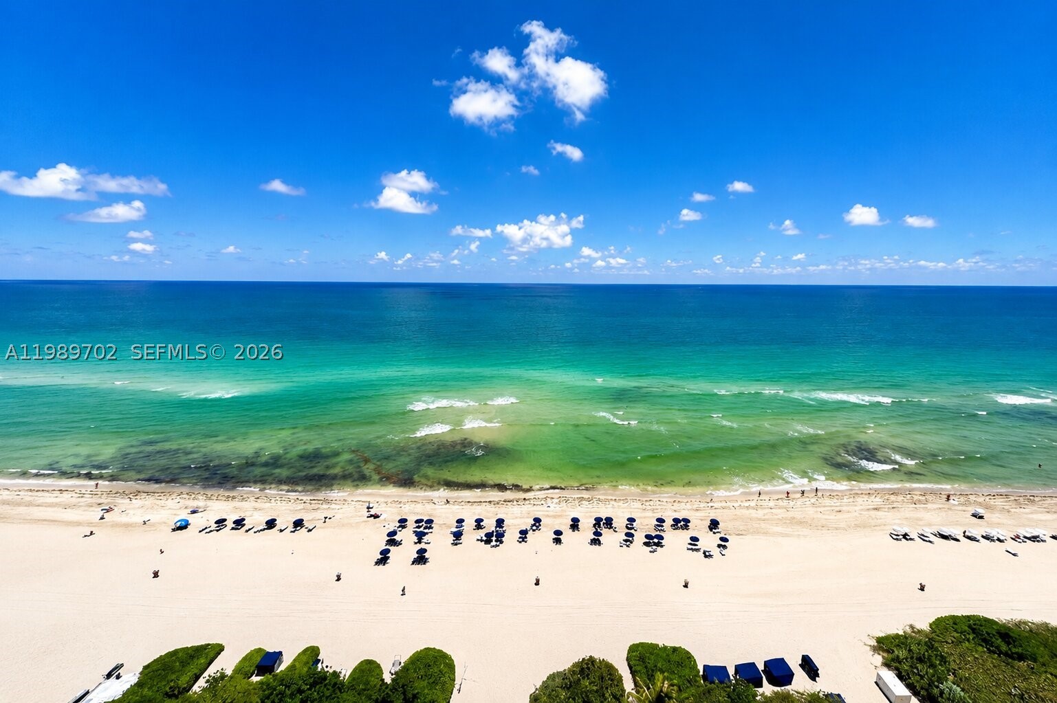 image Jade Ocean25
