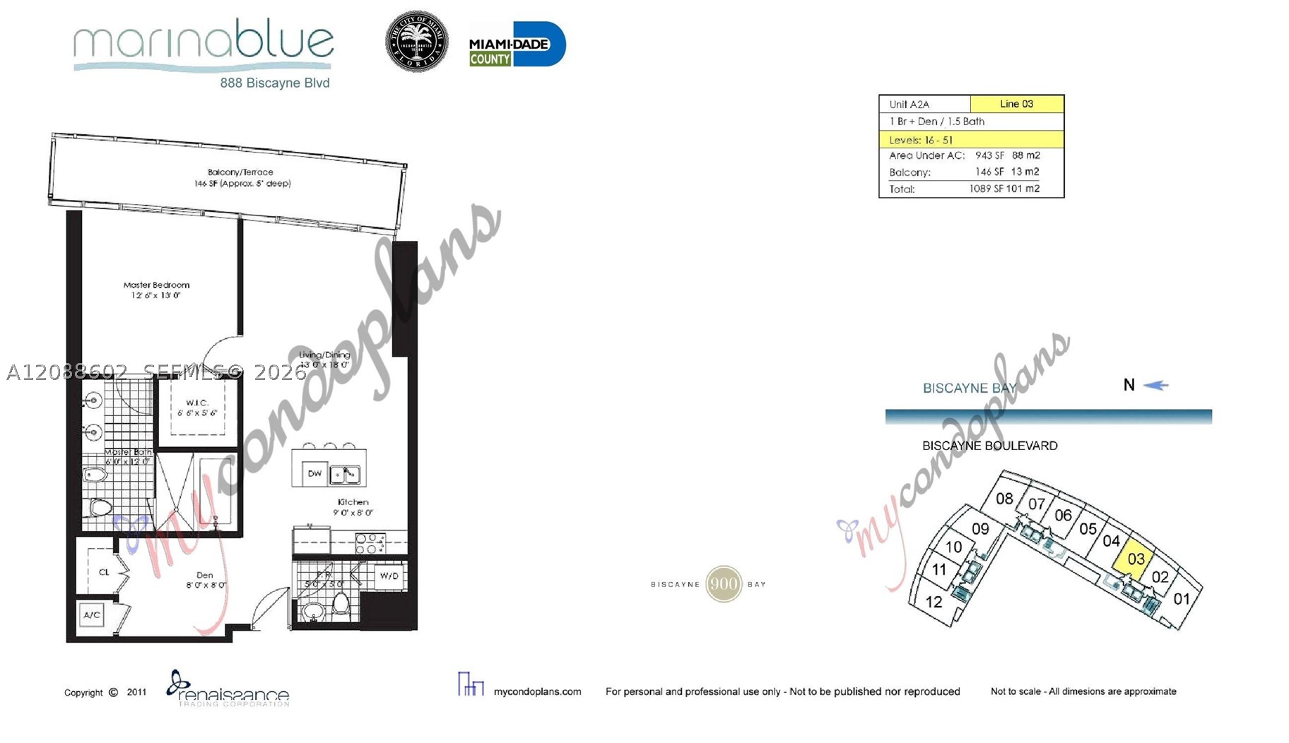 image Marina Blue14
