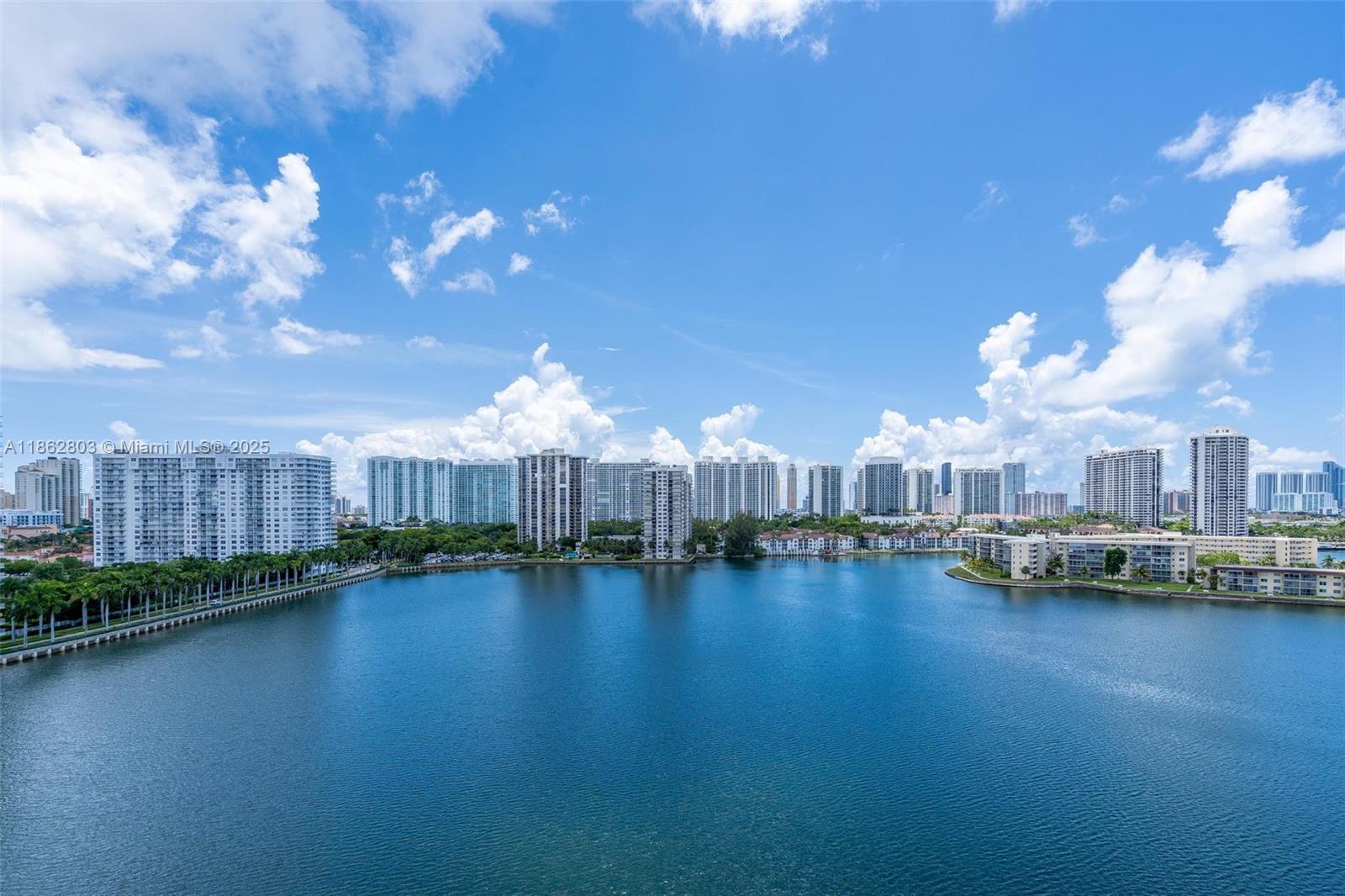 18081 Biscayne Blvd #1205