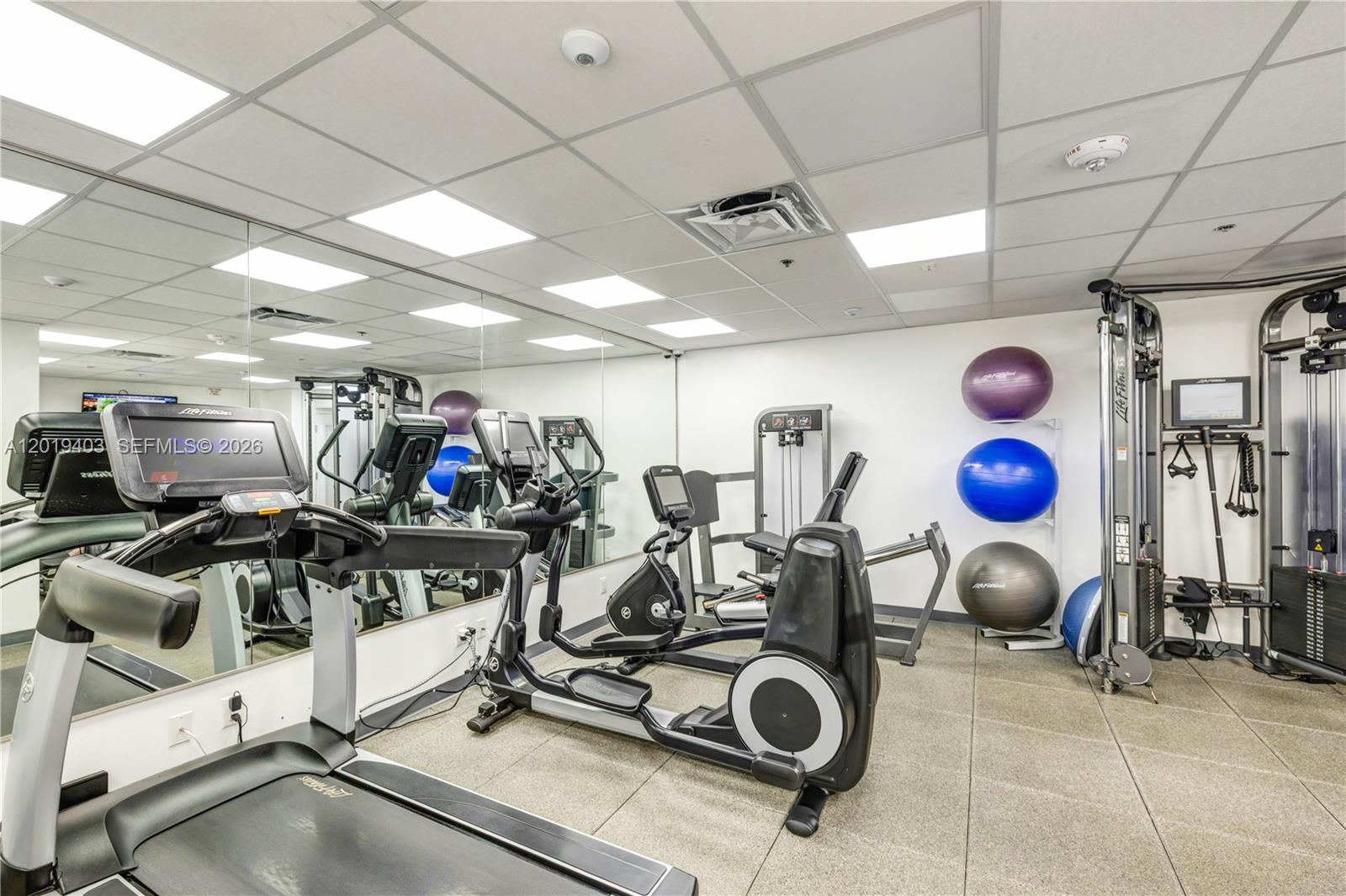 2843 S Bayshore Dr #11F Miami, FL 33133