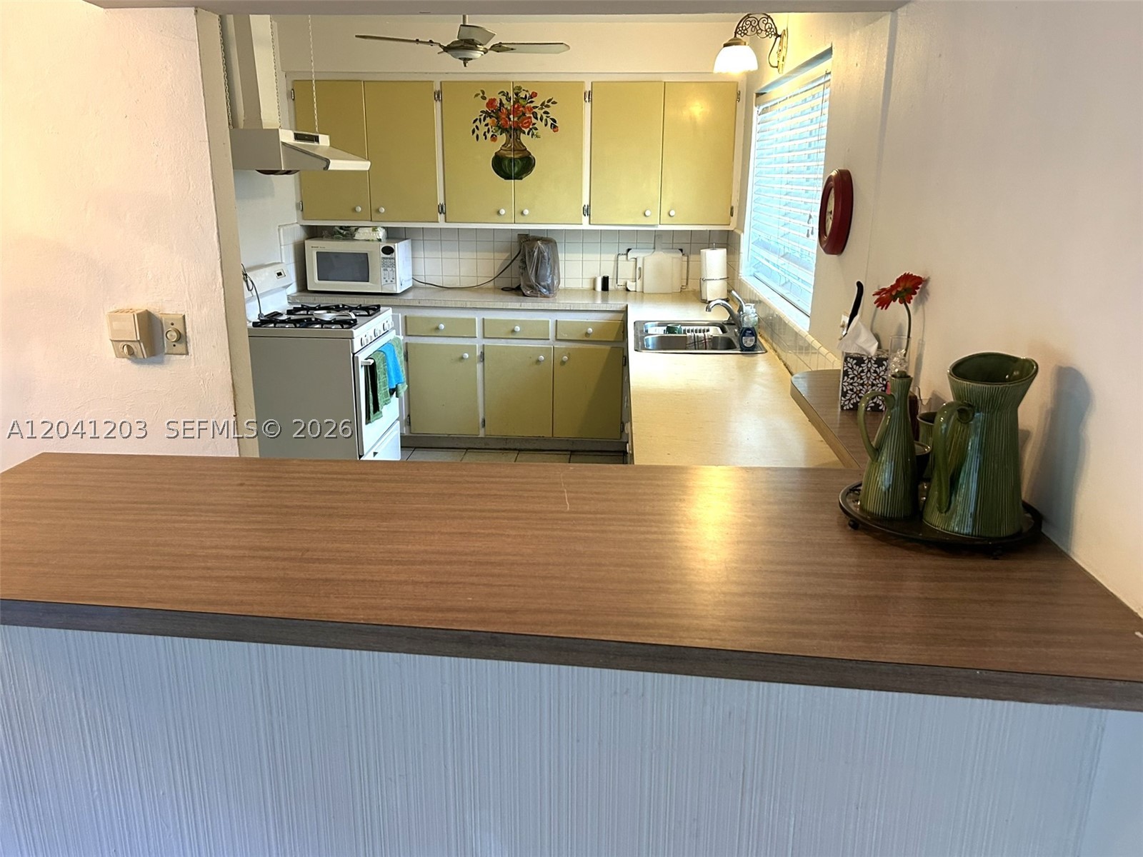 870 NE 97th St Miami Shores, FL 33138