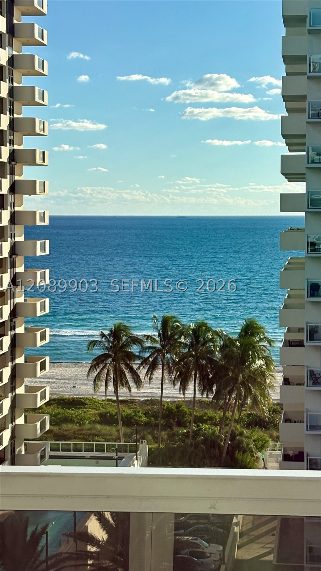 5700 Collins Ave #11B