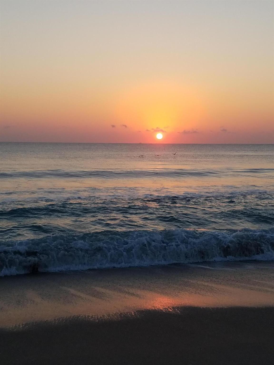 326 Brackenwood Cir Palm Beach Gardens, FL 33418