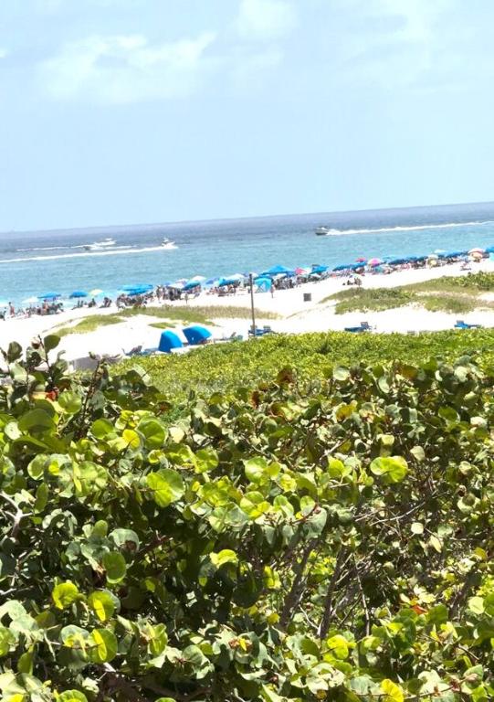 3100 N Ocean #H-1508 & H-1509 Singer Island, FL 33404