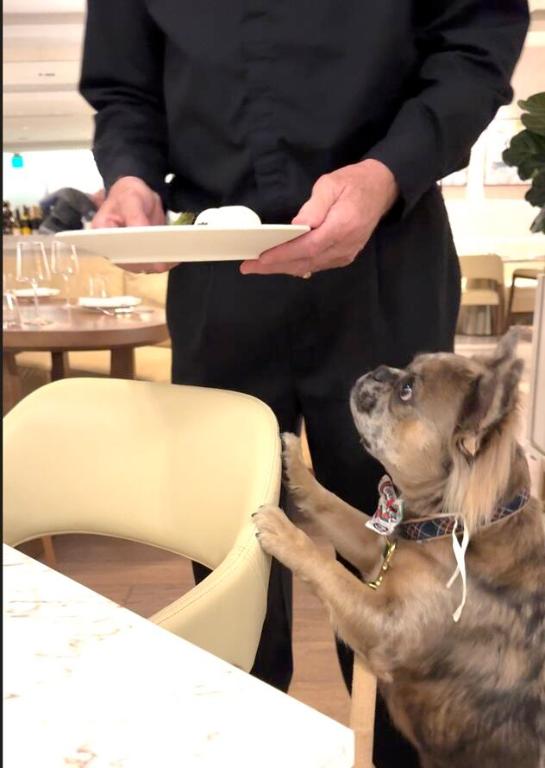 3100 N Ocean #H-1508 & H-1509 Singer Island, FL 33404