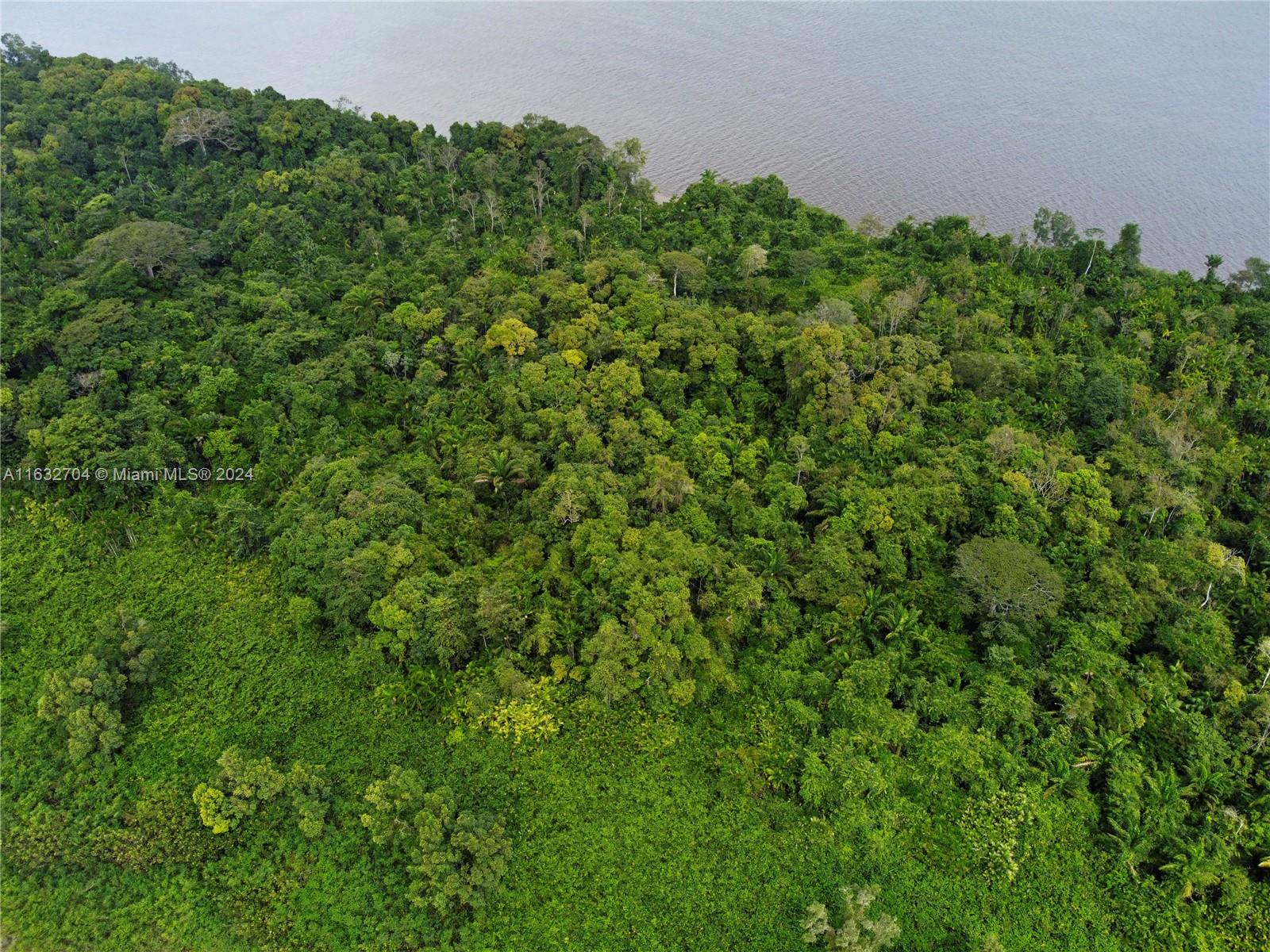 Suriname  Suriname