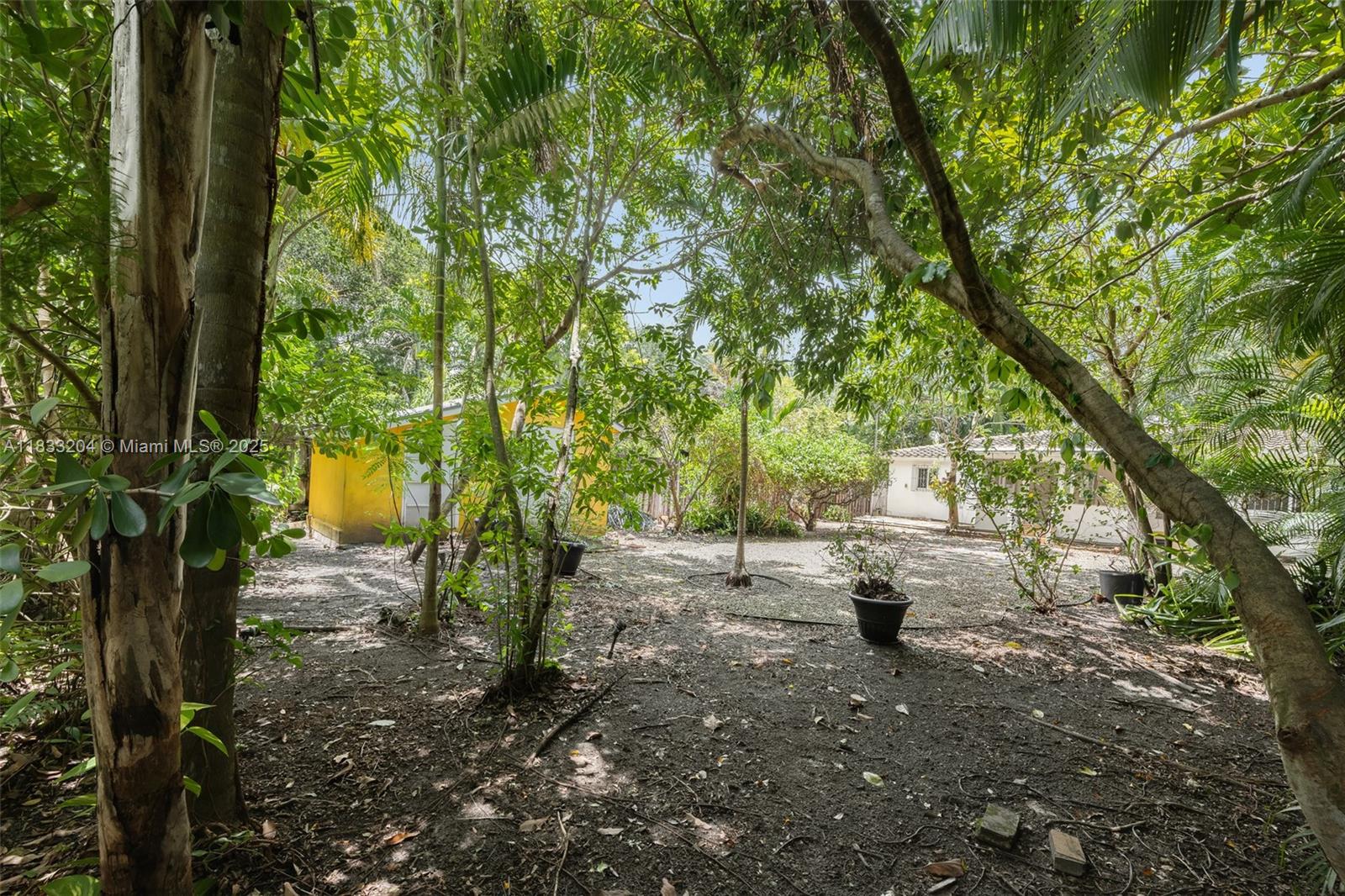 4050 Loquat Ave Coconut Grove, FL 33133