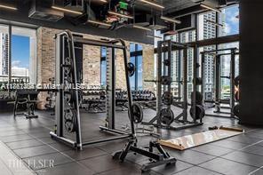 image The Elser7