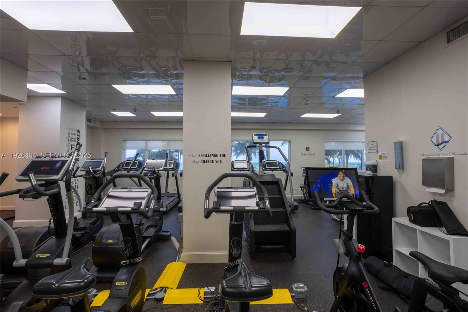 image Blue Diamond37