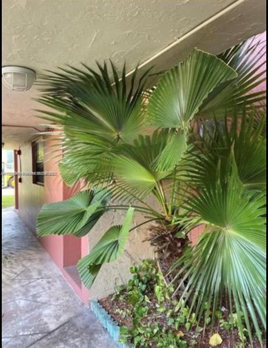 8775 Park Blvd #101 Miami, FL 33172