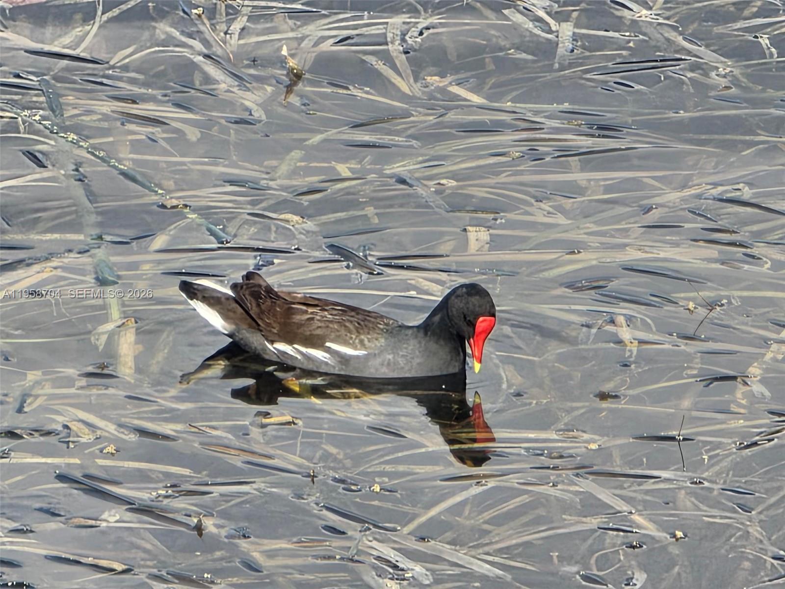 3371 NW 67th St Fort Lauderdale, FL 33309