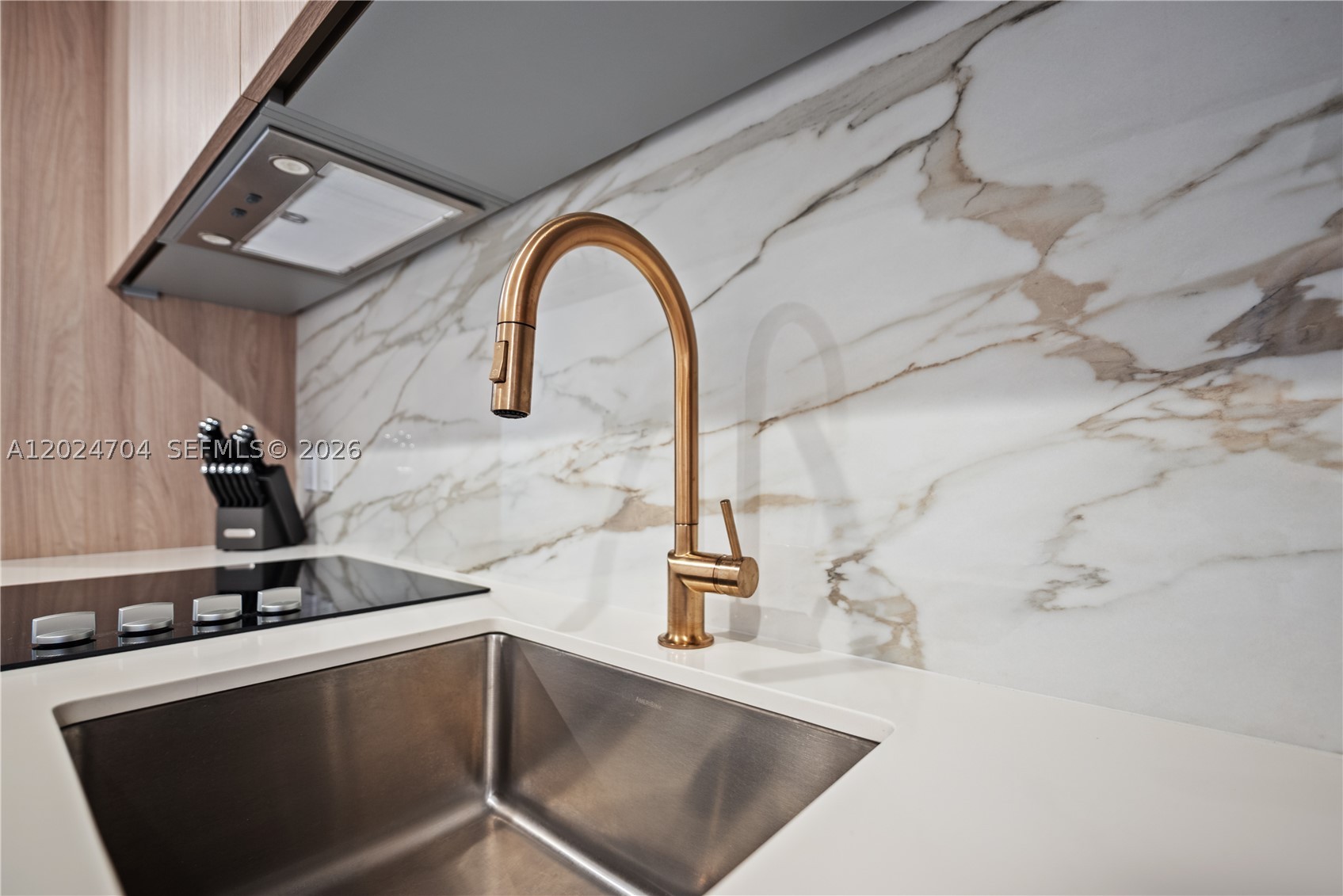 image Viceroy Brickell Residences2