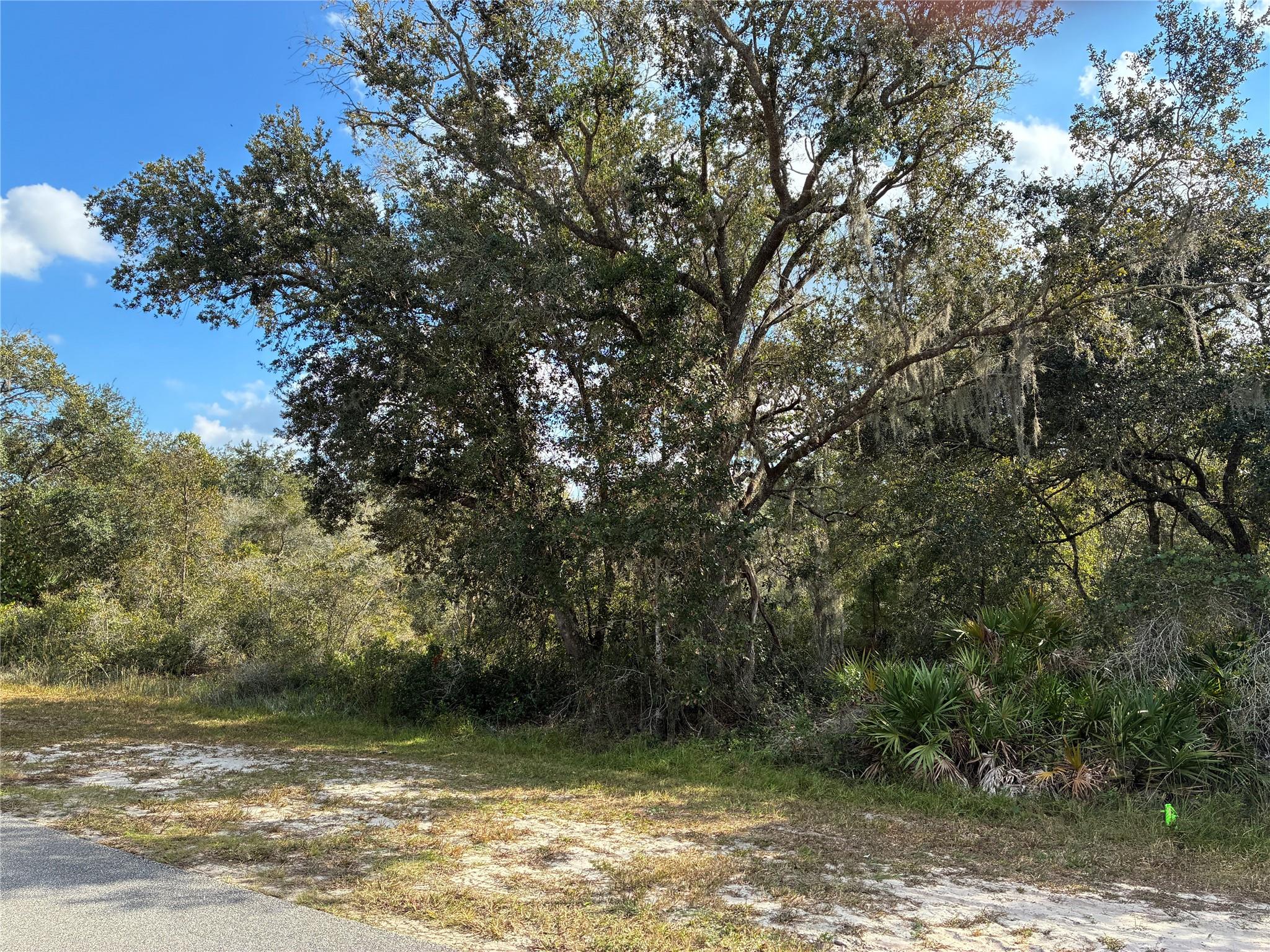 Lot 23 Blk 154 Plumosa Dr Indian Lake Estates, FL 33855