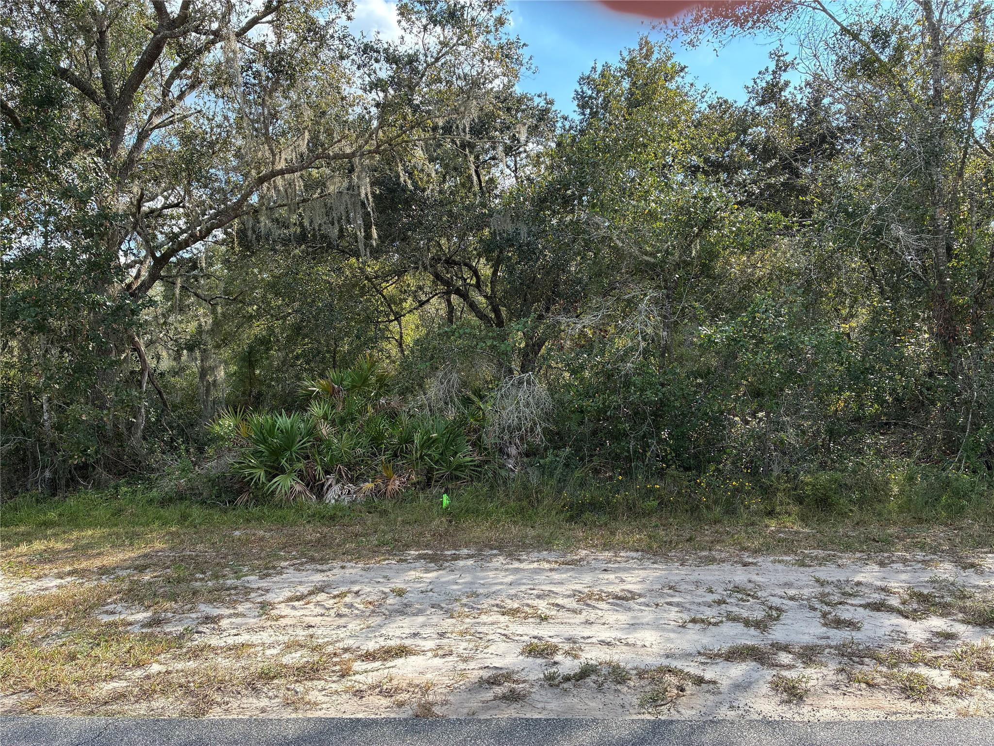 Lot 23 Blk 154 Plumosa Dr Indian Lake Estates, FL 33855