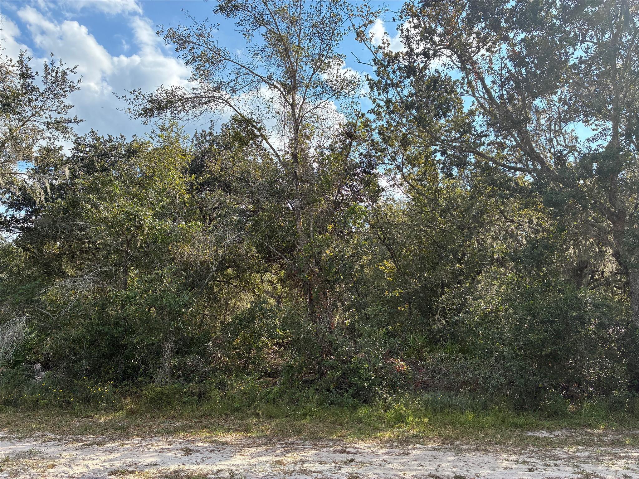 Lot 23 Blk 154 Plumosa Dr Indian Lake Estates, FL 33855
