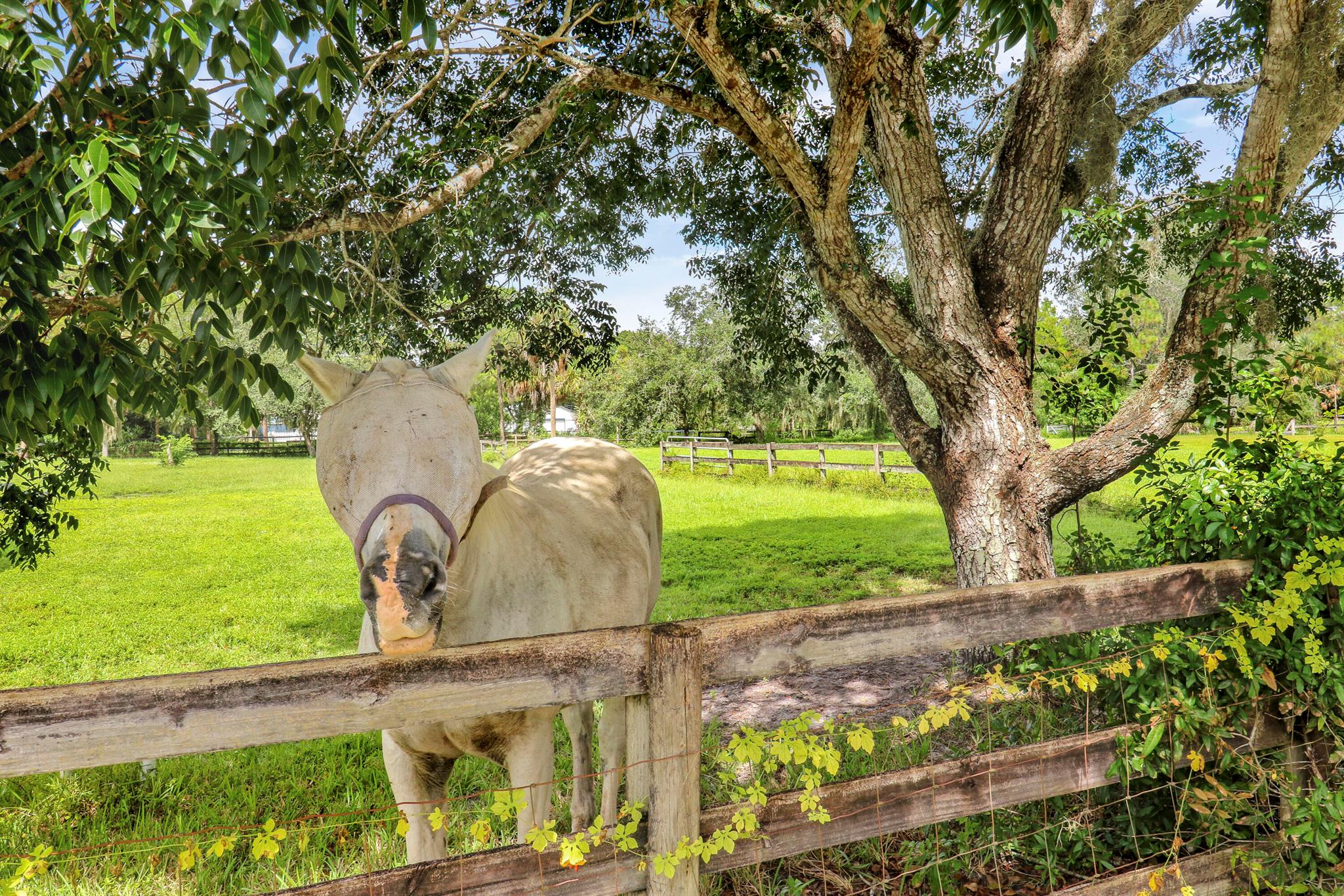 12818 Old Indiantown Rd Jupiter, FL 33478