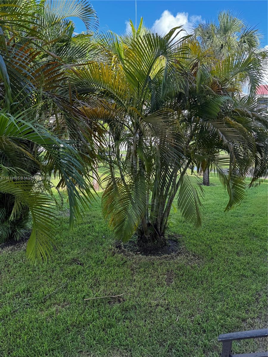 150 Lakeview Dr #201 Weston, FL 33326