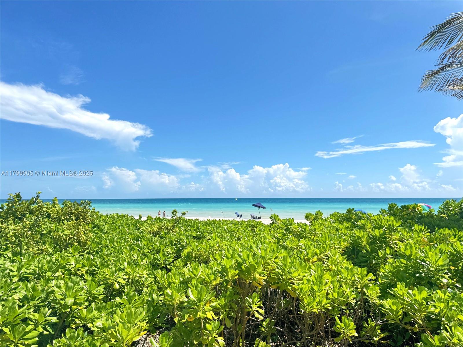 1936 S Ocean Dr #8D,Hallandale Beach, FL 33009