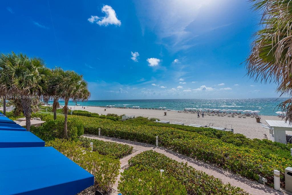 image Trump Palace Condo35