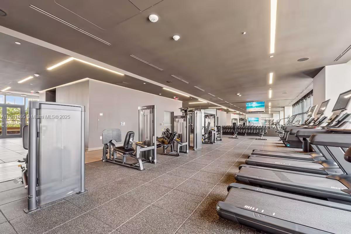 image Natiivo/ Gale Miami31