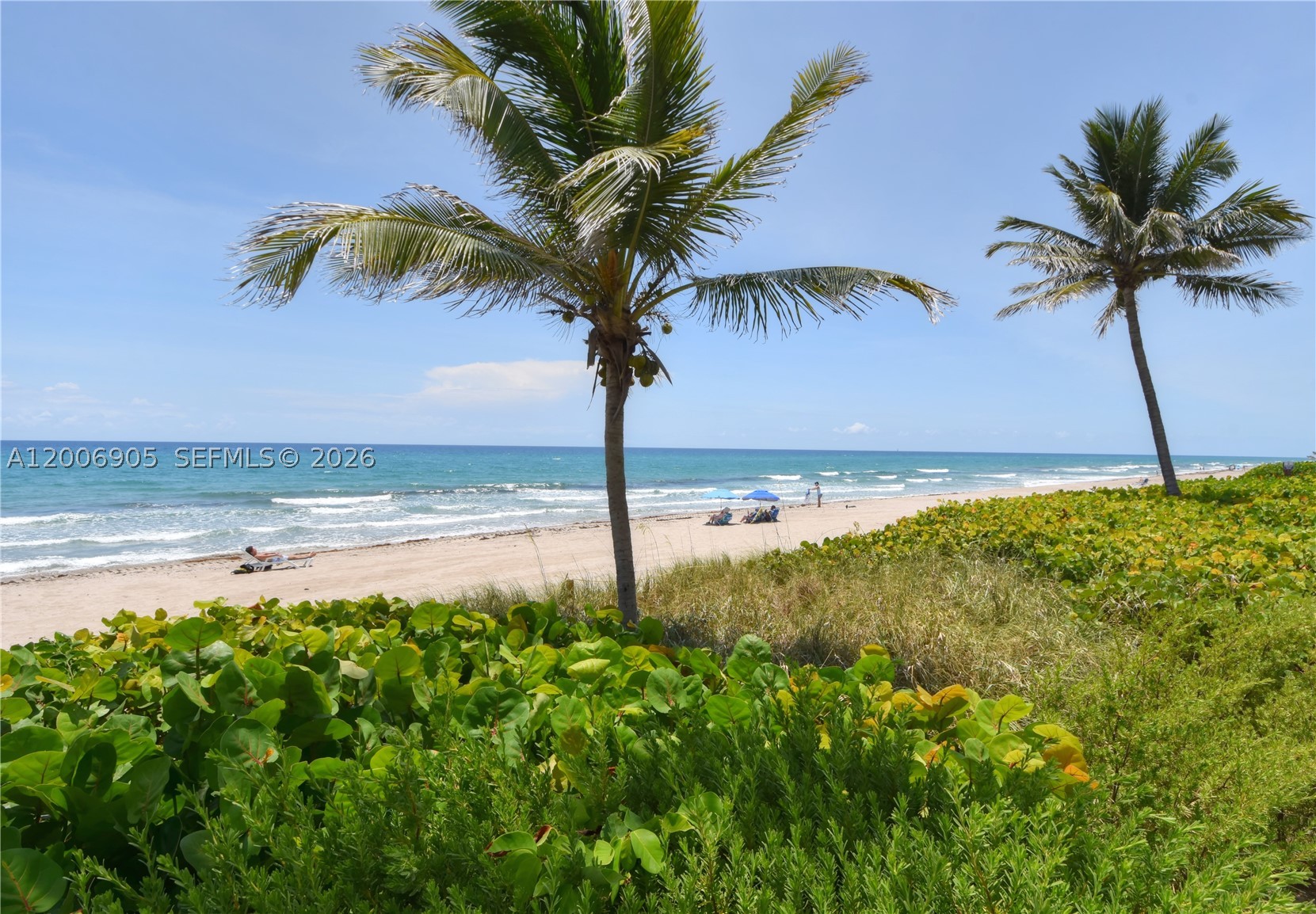 3101 S Ocean Blvd #118