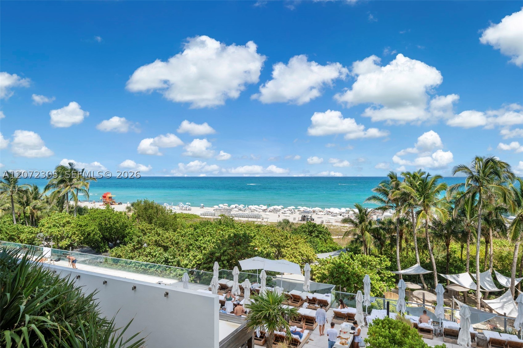 image Roney Palace27